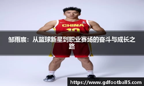 金年会诚信至上